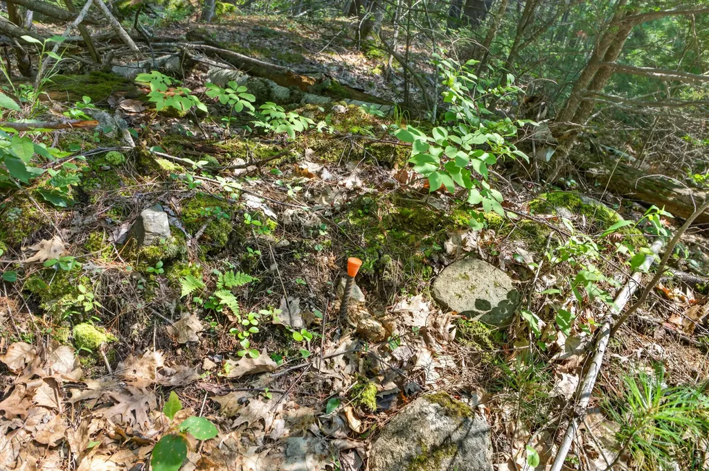 81 Mountain Road York ME 03902