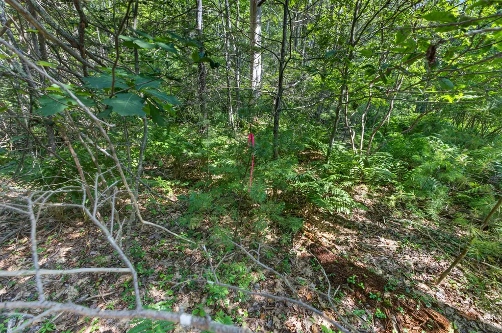 81 Mountain Road York ME 03902