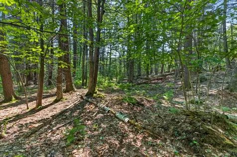 81 Mountain Road York ME 03902