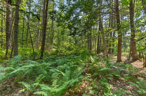81 Mountain Road York ME 03902