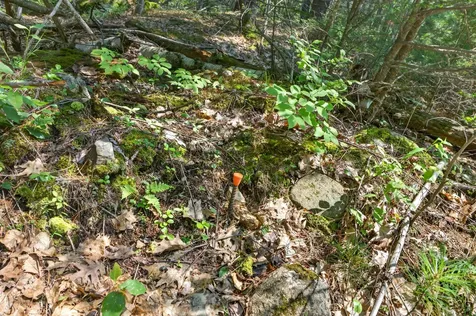 81 Mountain Road York ME 03902