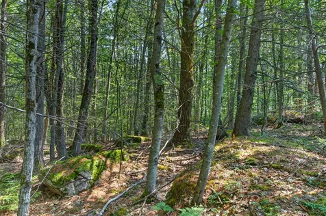 81 Mountain Road York ME 03902