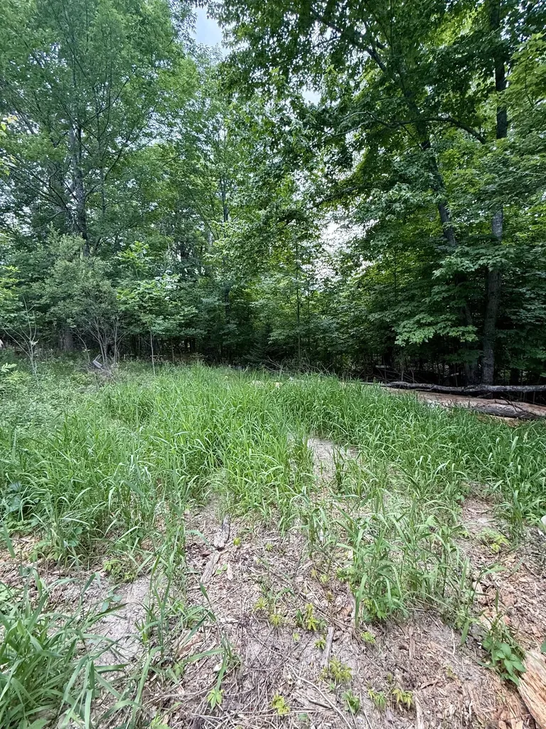 266 Willey District Road Cherryfield ME 04622