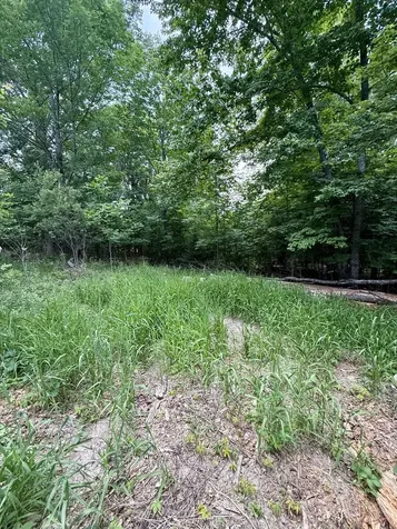 266 Willey District Road Cherryfield ME 04622