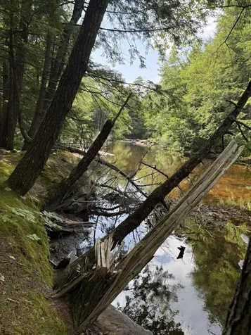 188 Norway Road Waterford ME 04088