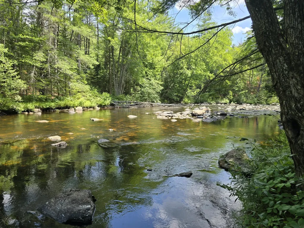 15 Stan's Road Harrison ME 04040