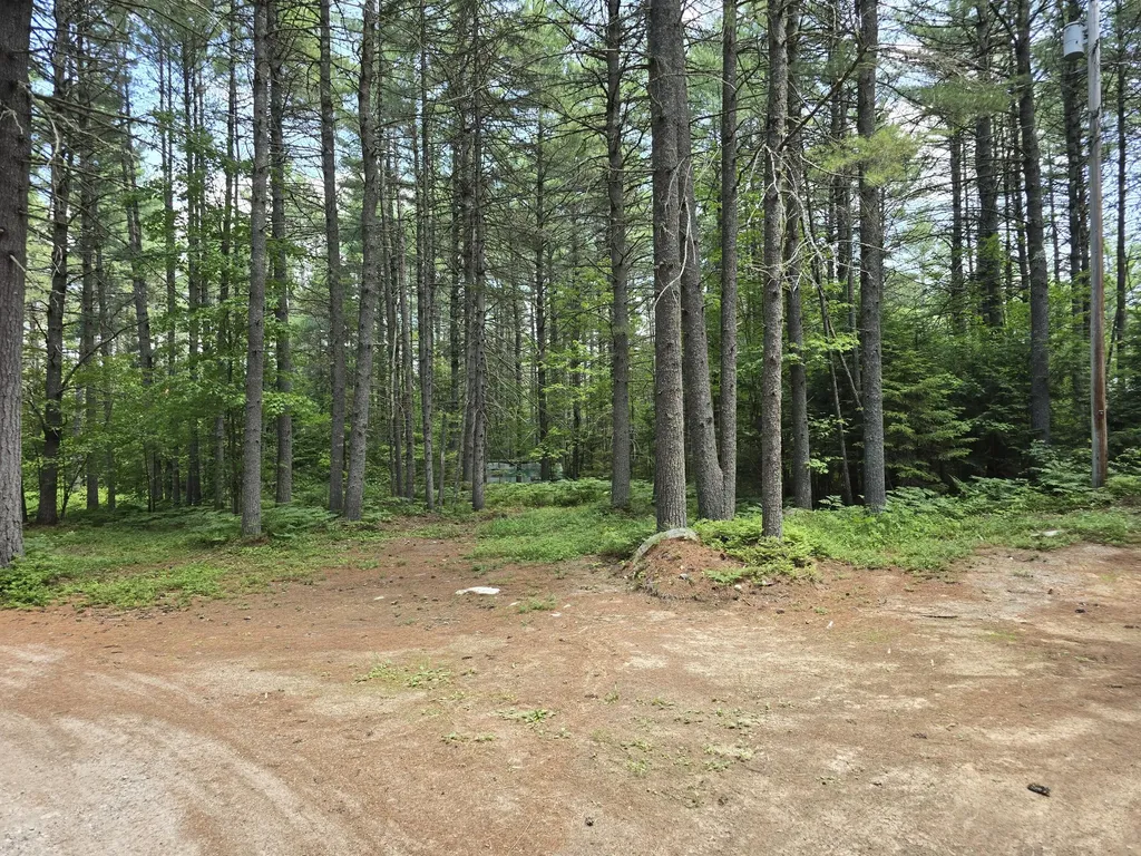 15 Stan's Road Harrison ME 04040