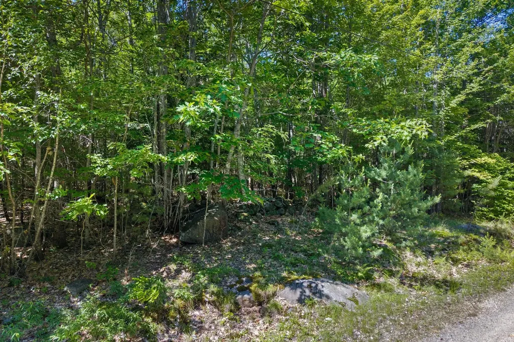 0 Hiram Hill Road Hiram ME 04041