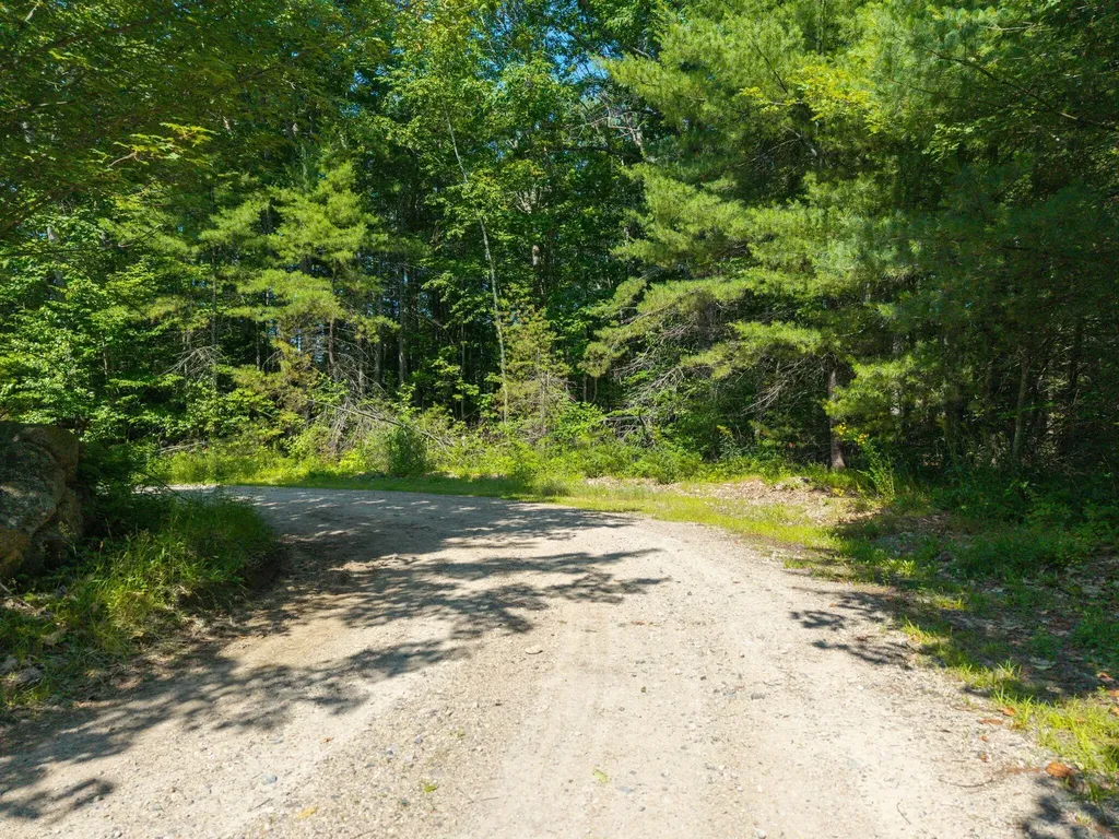 Lot 7 Emery Road Parsonsfield ME 04047