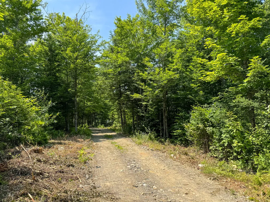 50 Wilderness Park Road Mattawamkeag ME 04459