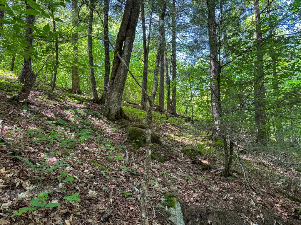 50 Wilderness Park Road Mattawamkeag ME 04459