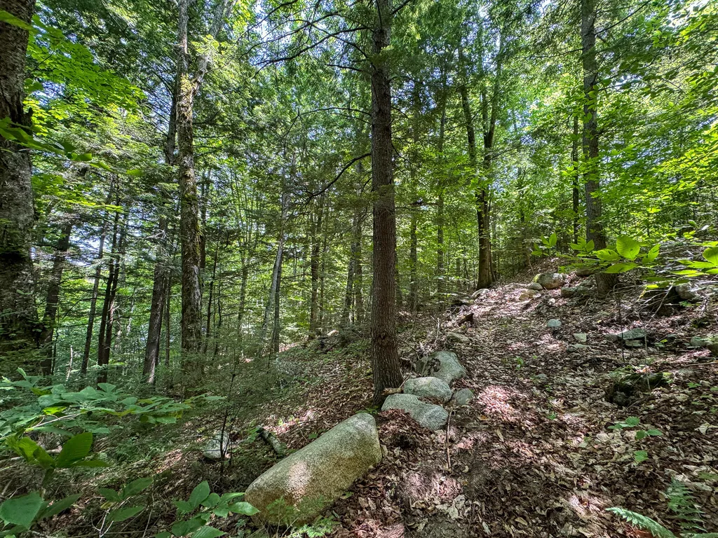 50 Wilderness Park Road Mattawamkeag ME 04459