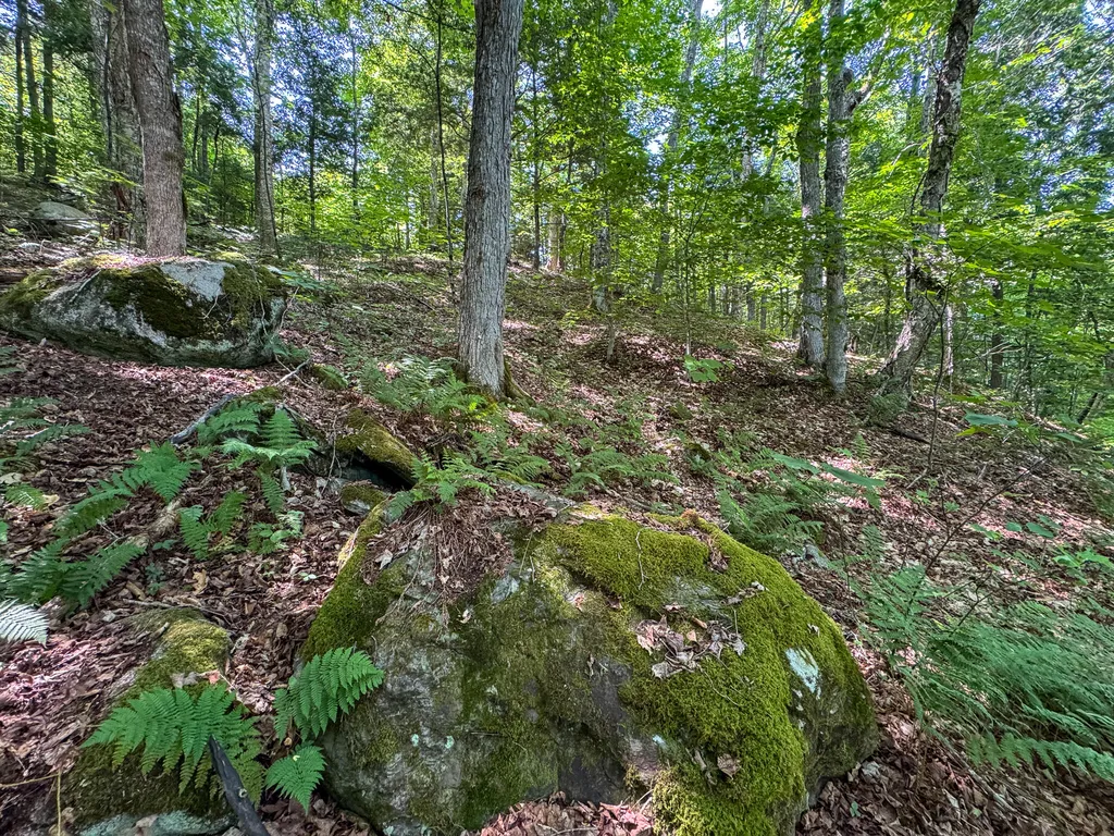 50 Wilderness Park Road Mattawamkeag ME 04459