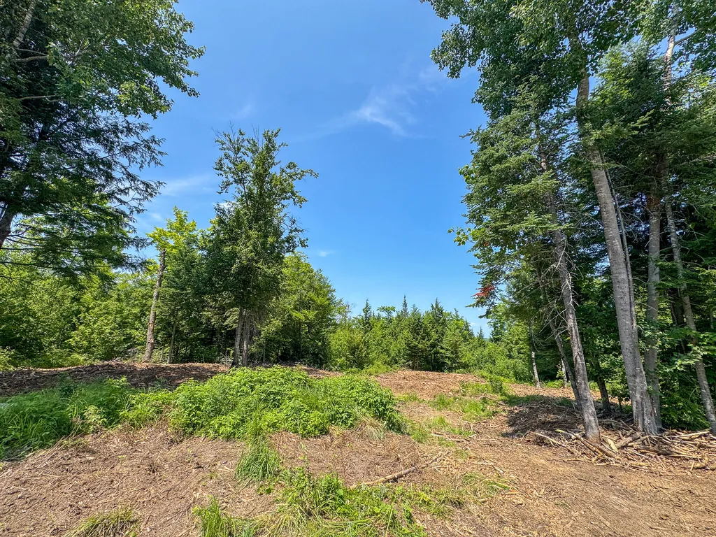 50 Wilderness Park Road Mattawamkeag ME 04459