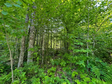 50 Wilderness Park Road Mattawamkeag ME 04459