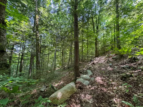 50 Wilderness Park Road Mattawamkeag ME 04459