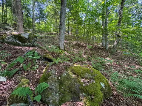50 Wilderness Park Road Mattawamkeag ME 04459