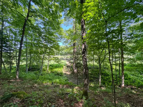50 Wilderness Park Road Mattawamkeag ME 04459