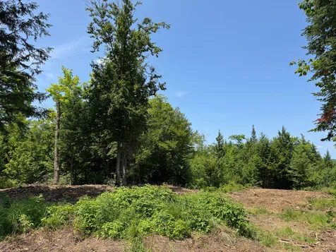 50 Wilderness Park Road Mattawamkeag ME 04459