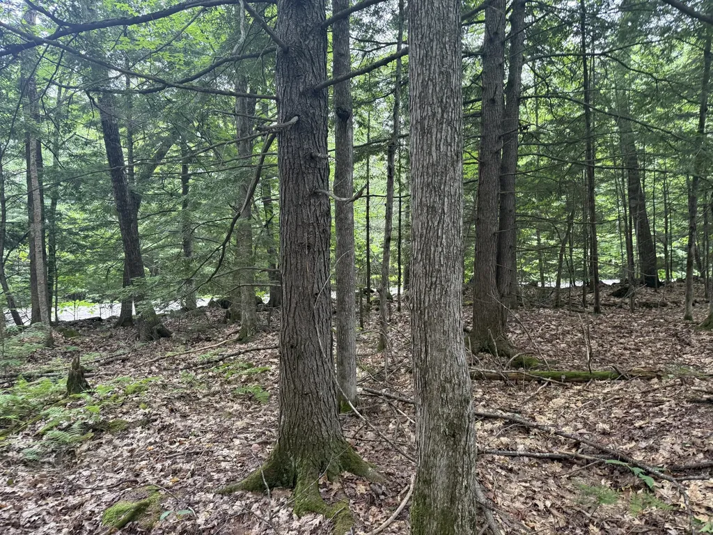 R1 L10a Hovey Road Farmington ME 04938