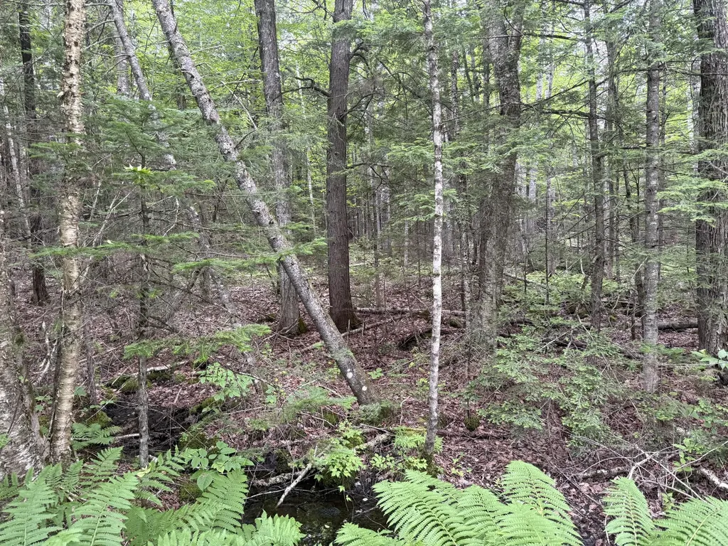 R1 L10a Hovey Road Farmington ME 04938