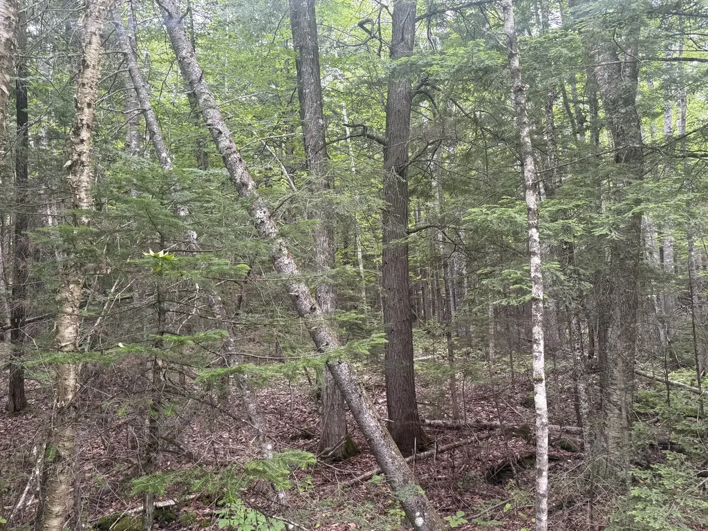 R1 L10a Hovey Road Farmington ME 04938