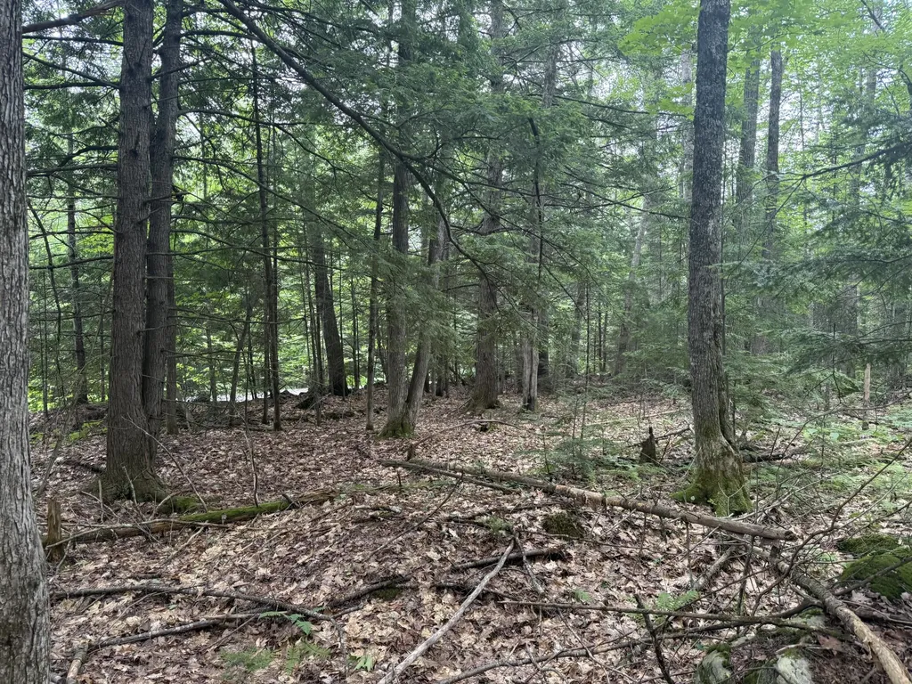 R1 L10a Hovey Road Farmington ME 04938