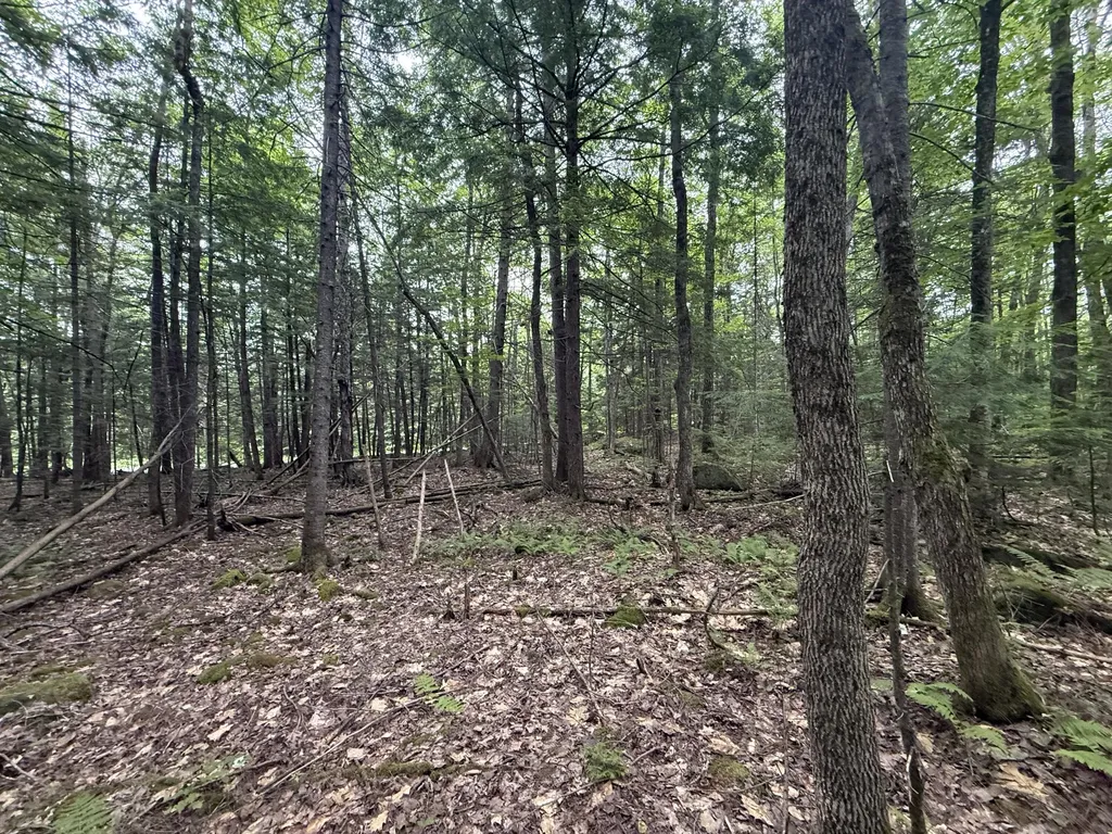 R1 L10a Hovey Road Farmington ME 04938