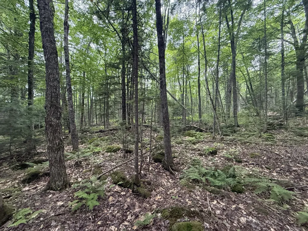 R1 L10a Hovey Road Farmington ME 04938