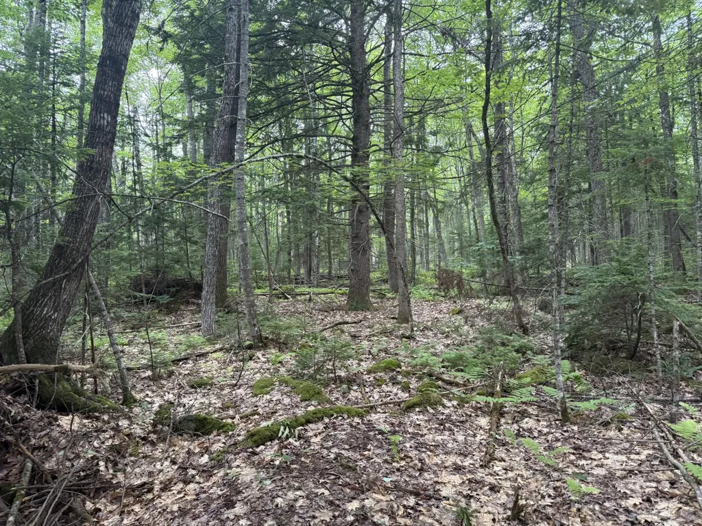 R1 L10a Hovey Road Farmington ME 04938