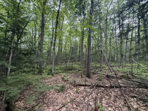 R1 L10a Hovey Road Farmington ME 04938