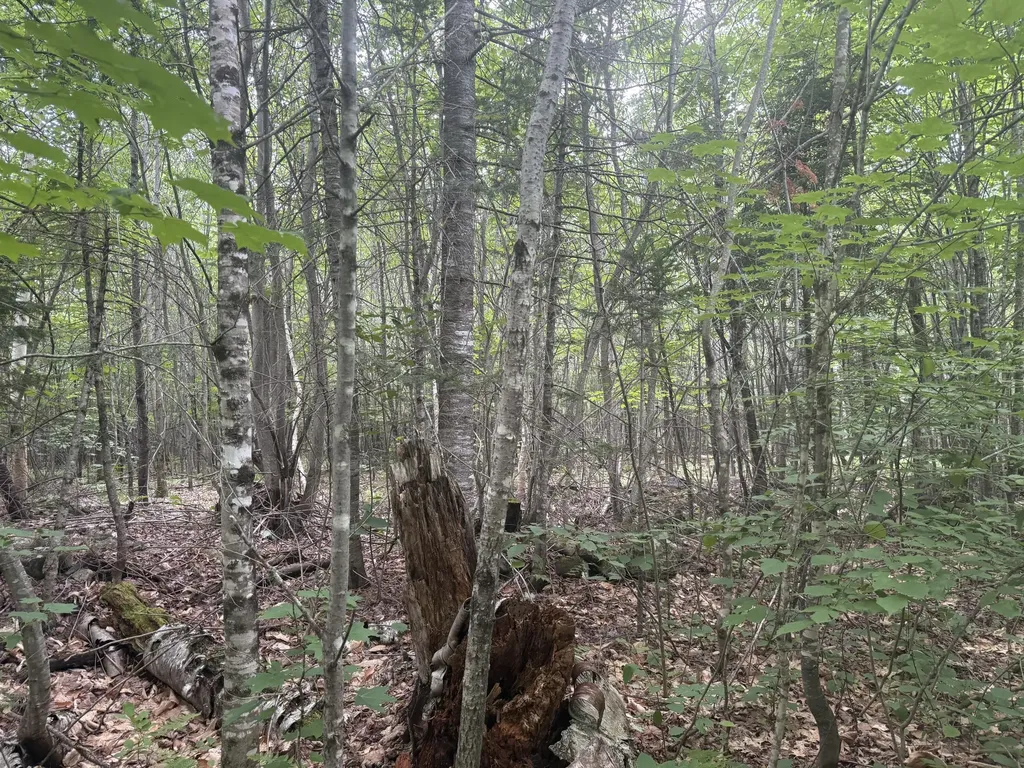 R1 L12 Hovey Road Farmington ME 04938