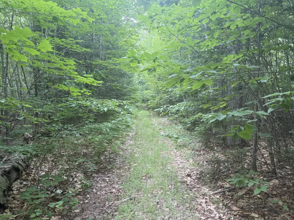 R1 L12 Hovey Road Farmington ME 04938