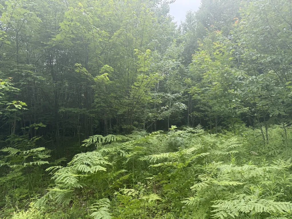 R1 L12 Hovey Road Farmington ME 04938