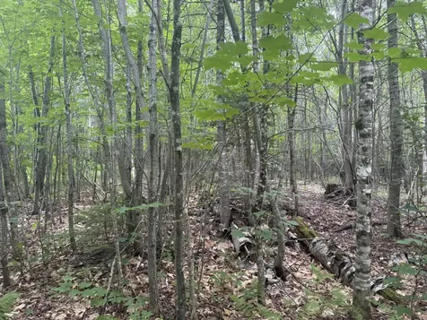 R1 L12 Hovey Road Farmington ME 04938