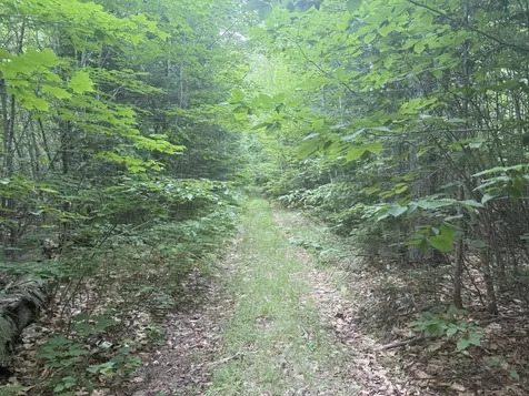 R1 L12 Hovey Road Farmington ME 04938