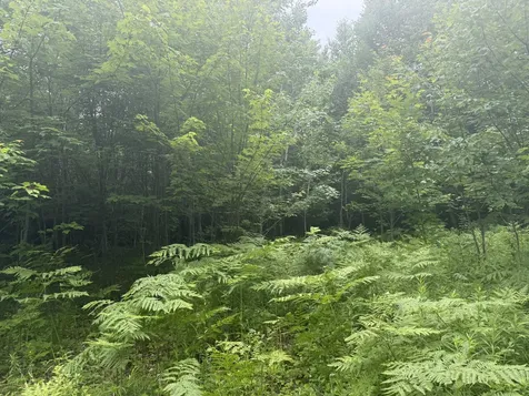 R1 L12 Hovey Road Farmington ME 04938