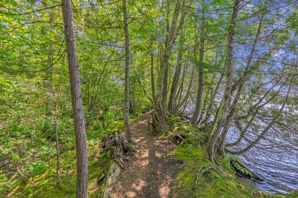 37 Loon Drive Newport ME 04953