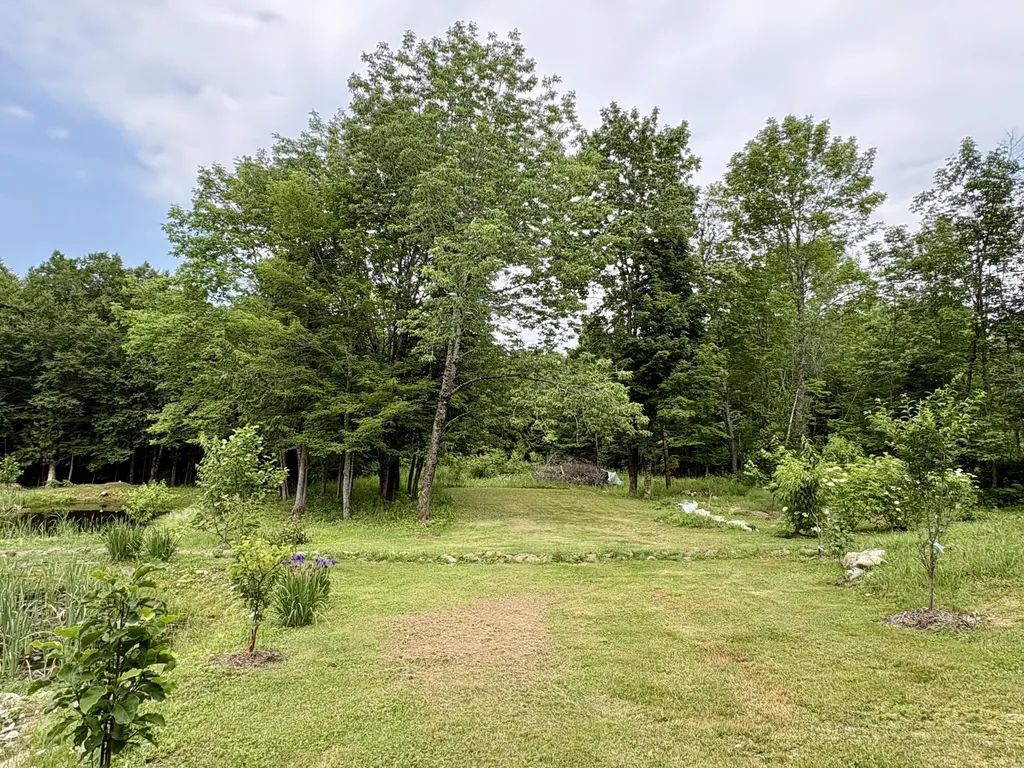 1097 Main Street Springfield ME 04487