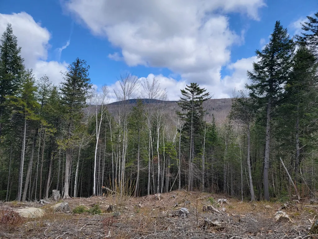 1007 Apres Way Carrabassett Valley ME 04947