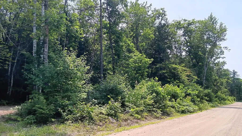 1183 Old Waterford Road Lovell ME 04051