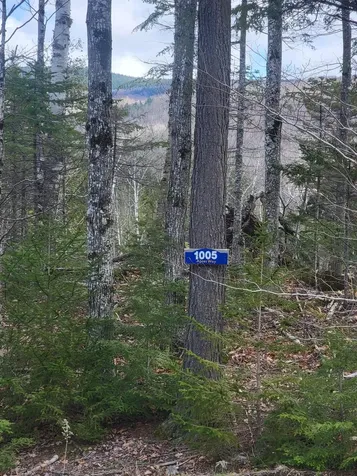 1005 Apres Way Carrabassett Valley ME 04947