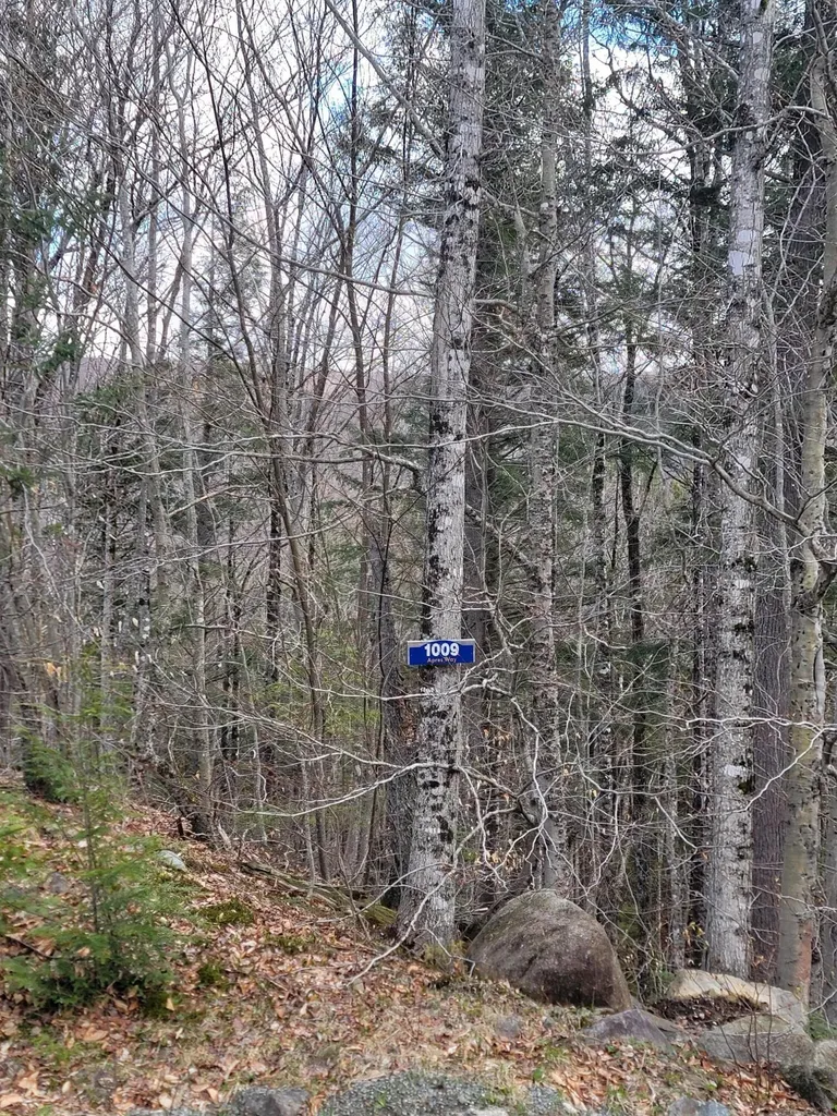 1009 Apres Way Carrabassett Valley ME 04947
