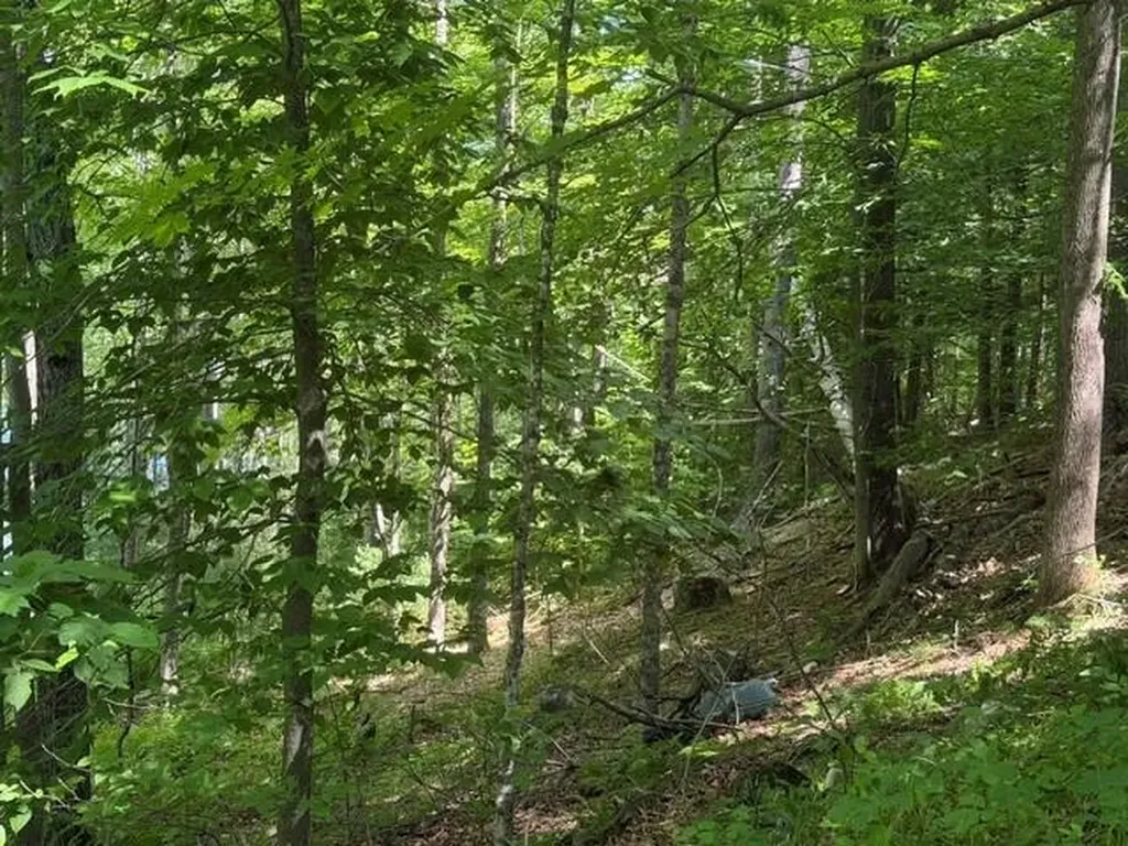 0 Seavey Corner Road Mount Vernon ME 04352