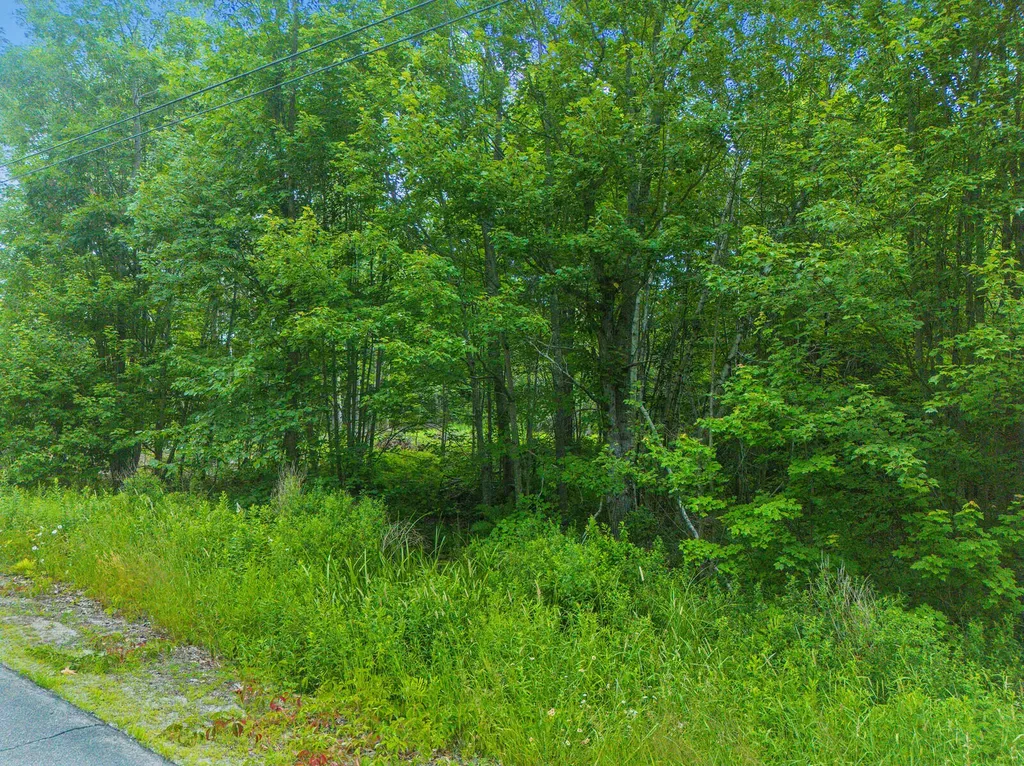 Lot 20-3 Pine Hill Road Monmouth ME 04259