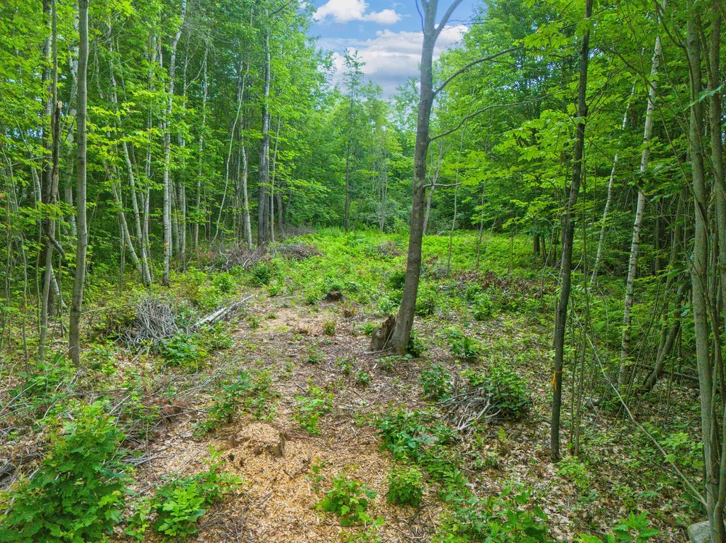 Lot 20-3 Pine Hill Road Monmouth ME 04259