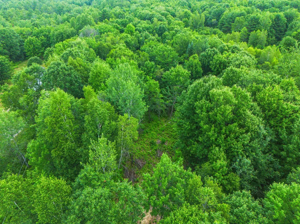 Lot 20-3 Pine Hill Road Monmouth ME 04259