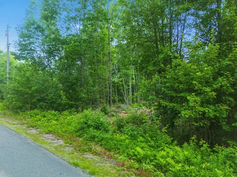 Lot 20-3 Pine Hill Road Monmouth ME 04259