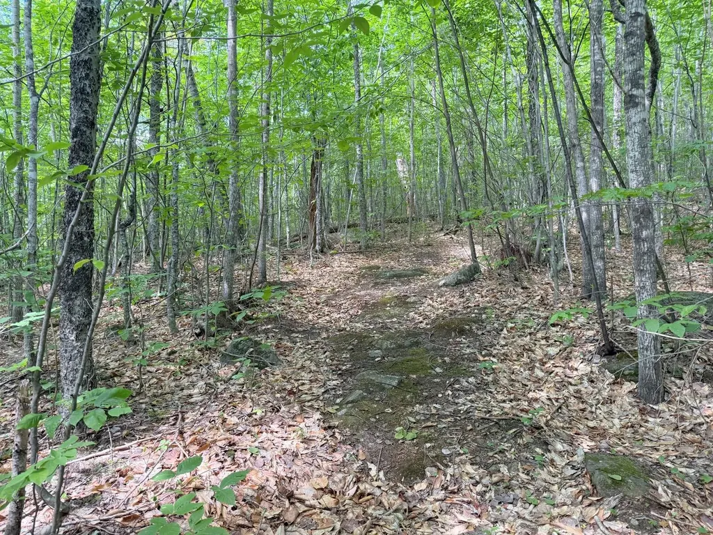 Tbd Map Fr 028 Plan 01 Lot 19 Washington Twp ME 04294