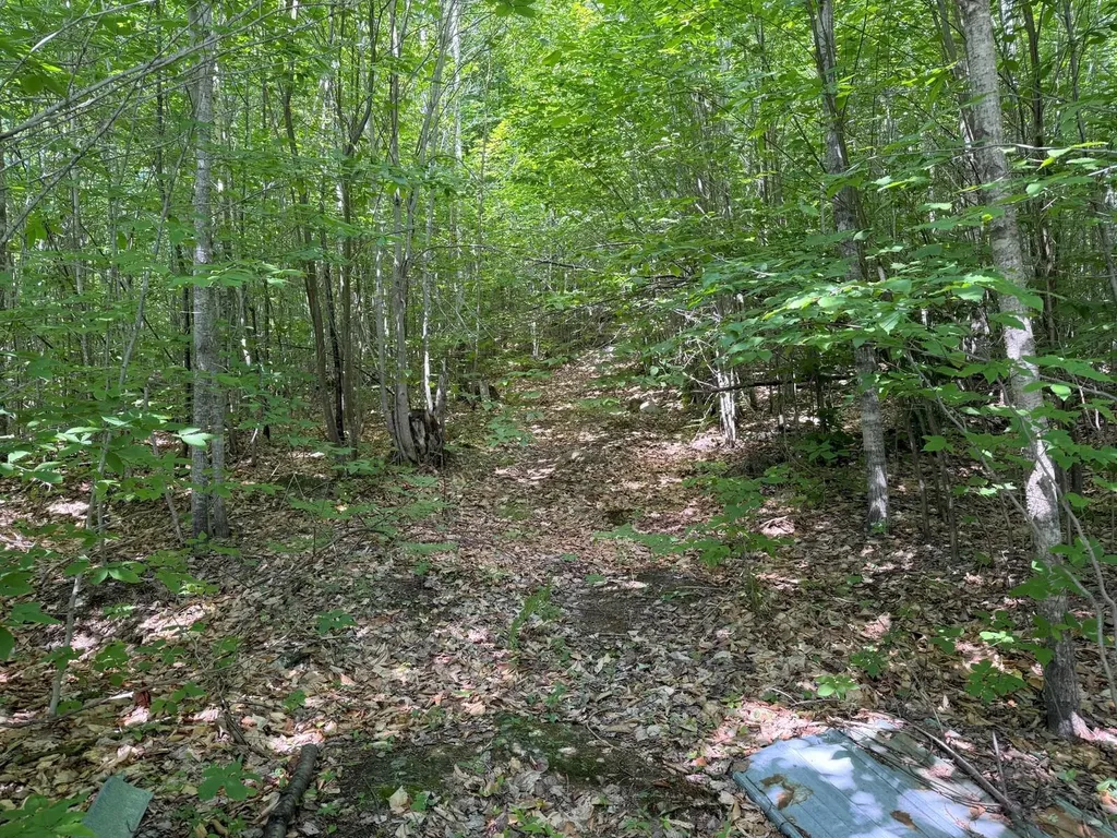 Tbd Map Fr 028 Plan 01 Lot 19 Washington Twp ME 04294